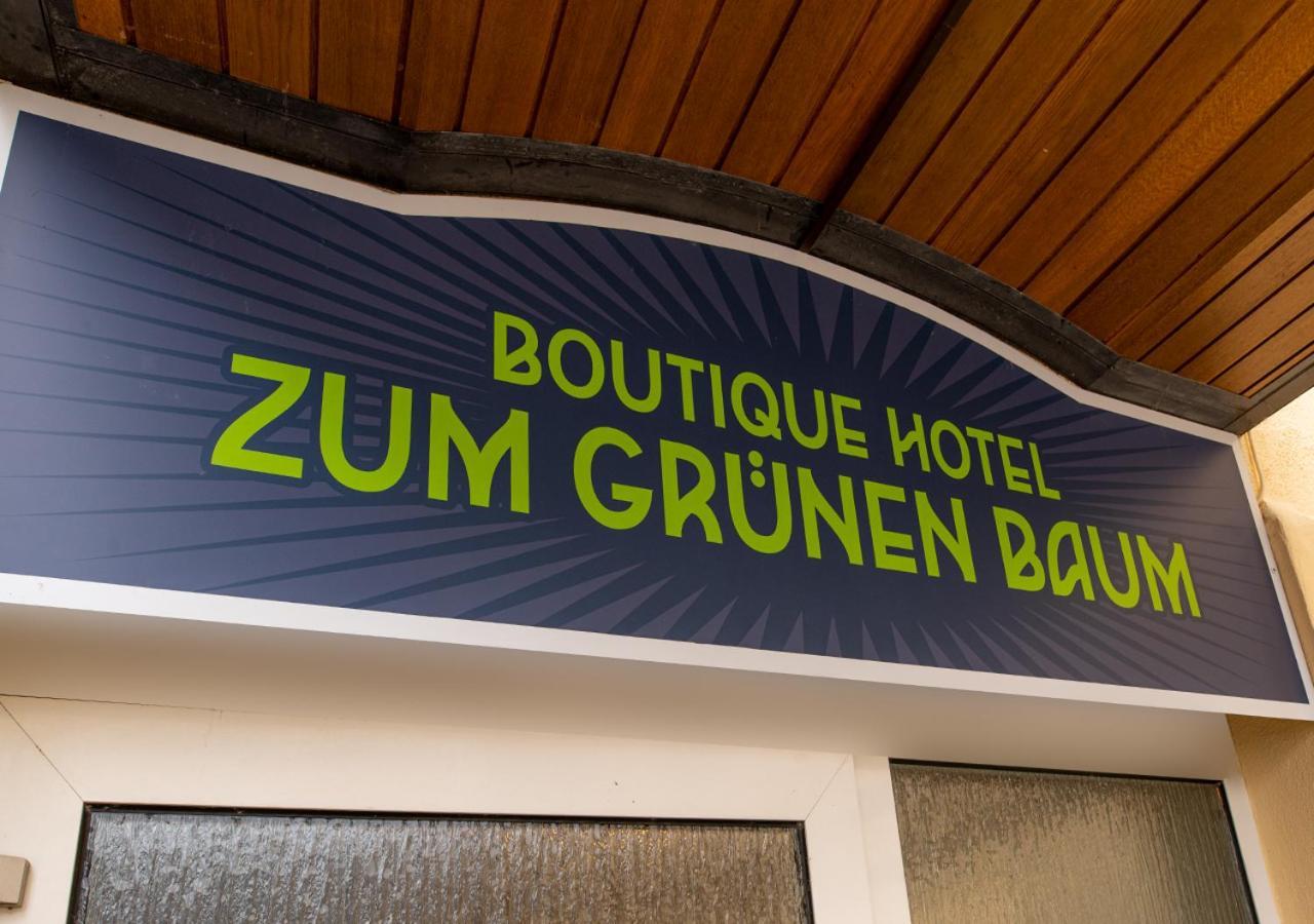 Boutique-Hotel Zum Gruenen Baum アルツェナウ・イン・ウンテルフランケン エクステリア 写真